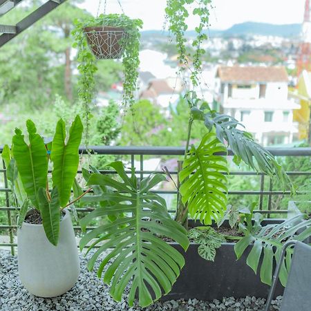 Hilly Hostel Νταλάτ Εξωτερικό φωτογραφία